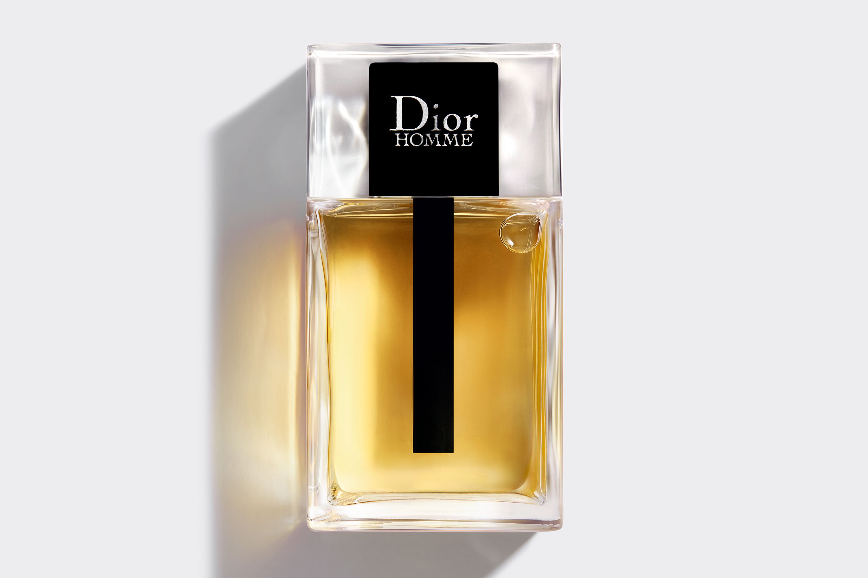 Buy Christian Dior Homme Eau de Toilette for Men  100 ml Online   Centrepoint Saudi