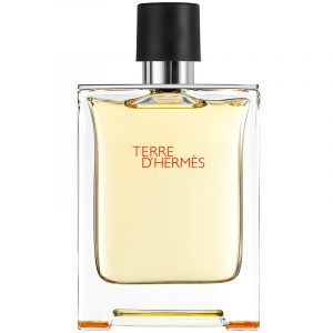 Hermes-Terre-DHermes_1